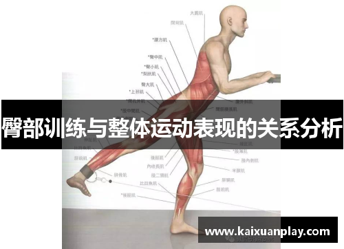 臀部训练与整体运动表现的关系分析