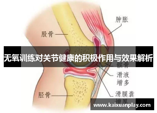 无氧训练对关节健康的积极作用与效果解析
